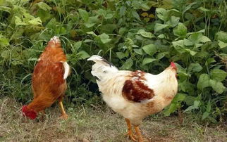 秦淮河發(fā)源地探秘與周邊小眾景點(diǎn)自駕攻略